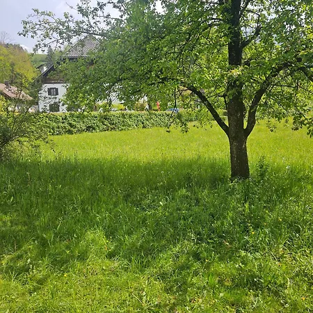 Melissa Unterfeichten