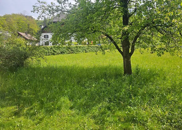 Melissa Unterfeichten